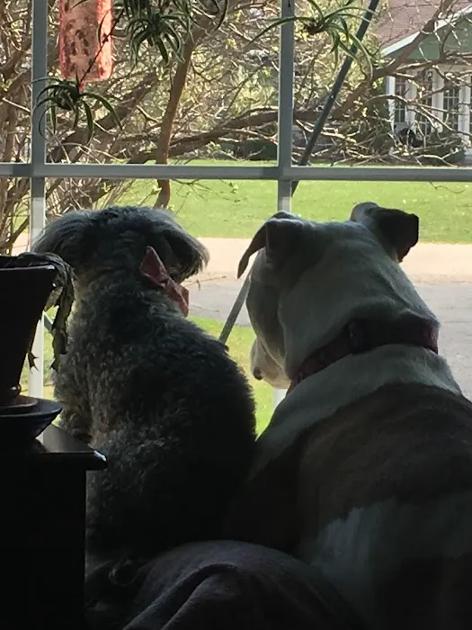 Detroit Lakes Animal Hospital Picture 7