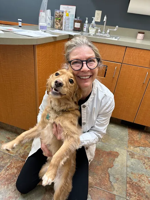 Veterinary Dermatology Service Picture 2