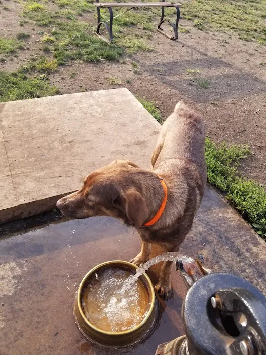 Acorn Lake Veterinary Service Picture 1