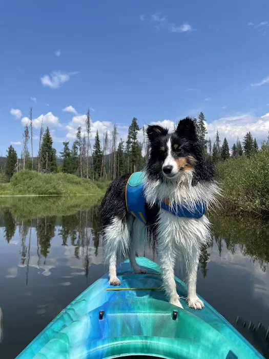 Acorn Lake Veterinary Service Picture 8