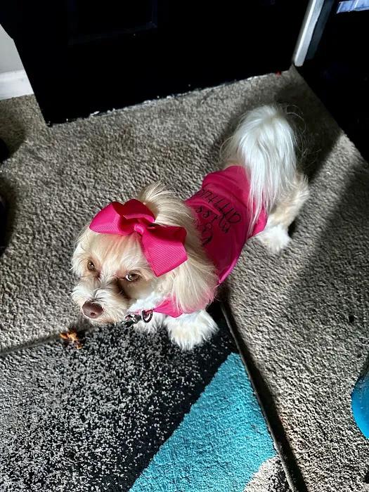 Allied Animal HealthCare Picture 9