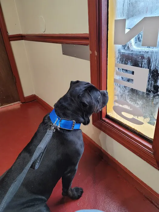 Allied Animal HealthCare Picture 5