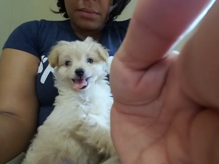 Allied Animal HealthCare Picture 6