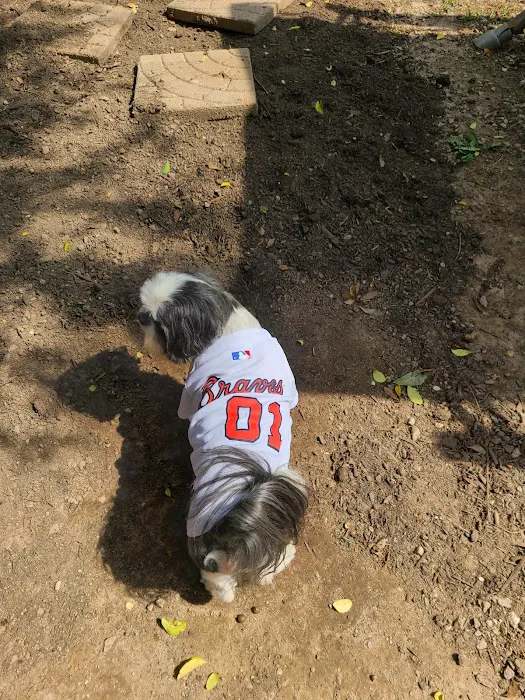 Alston Darin DVM Picture 1