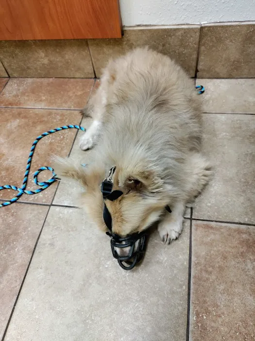 Banfield Pet Hospital Picture 2