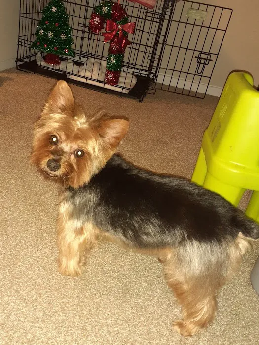 Banfield Pet Hospital Picture 1