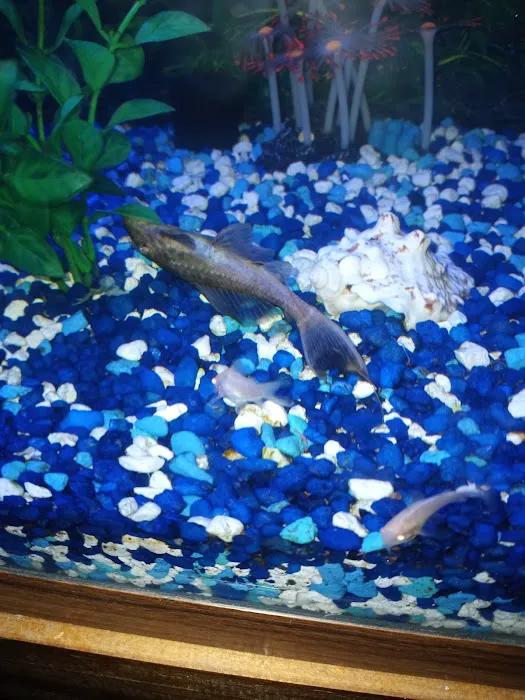 Banfield Pet Hospital Picture 6