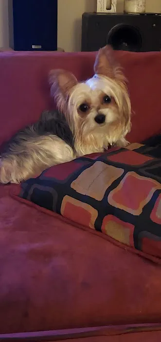 Banfield Pet Hospital Picture 7