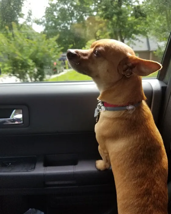 Banfield Pet Hospital Picture 9