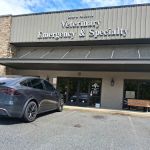 South Atlanta Veterinary Emergency & Specialty, A Thrive Pet Healthcare Partner