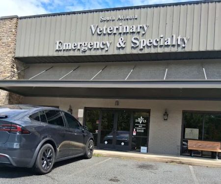 South Atlanta Veterinary Emergency & Specialty, A Thrive Pet Healthcare Partner