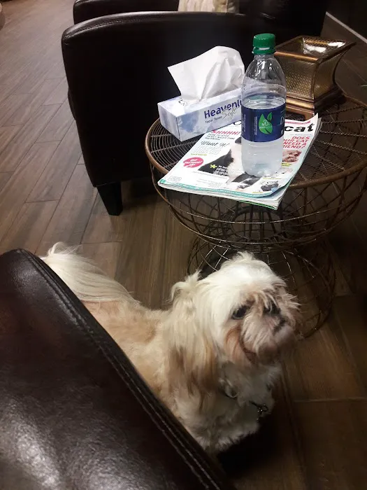 South Atlanta Veterinary Emergency & Specialty, A Thrive Pet Healthcare Partner Picture 8