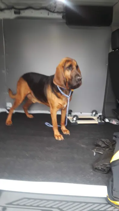 VCA College Park Animal Hospital Picture 2