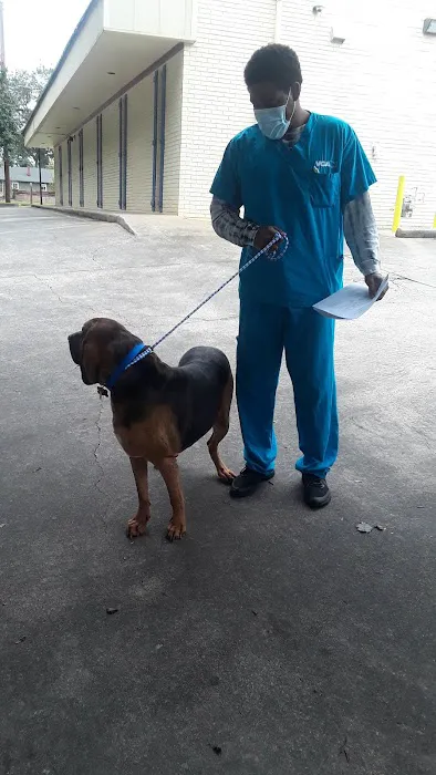 VCA College Park Animal Hospital Picture 4