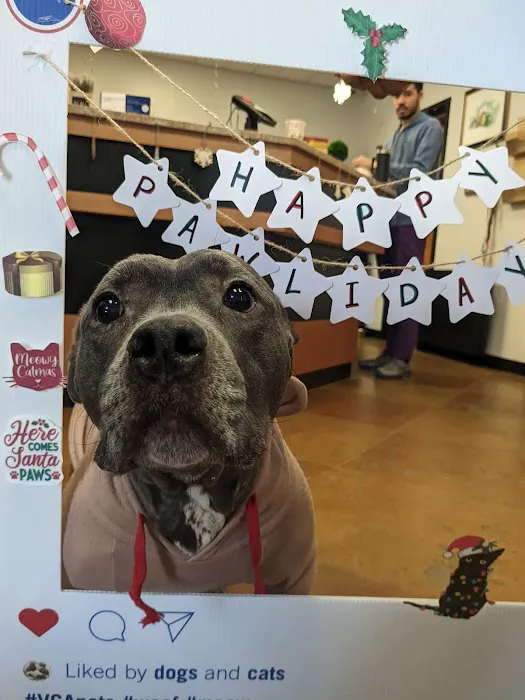 VCA College Park Animal Hospital Picture 3