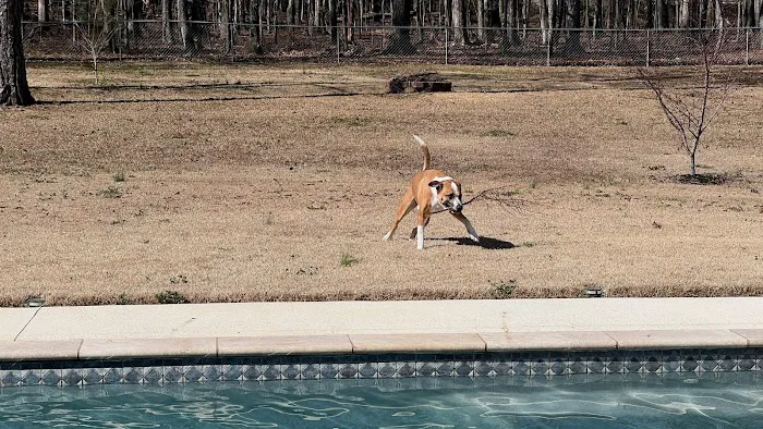 Fayetteville Animal Hospital Picture 1