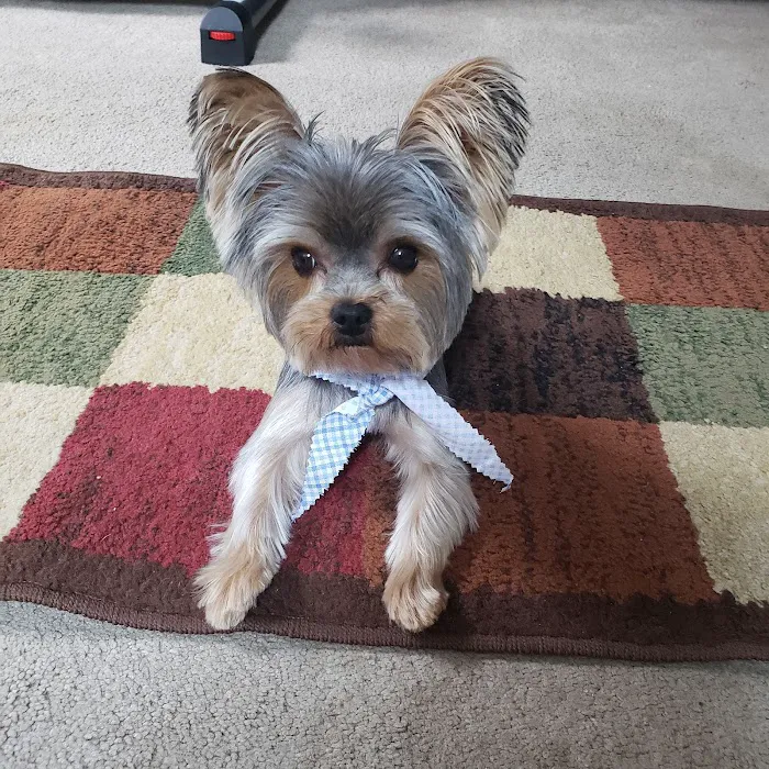 Fayetteville Animal Hospital Picture 3