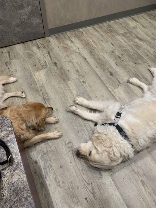 Fayetteville Animal Hospital Picture 7