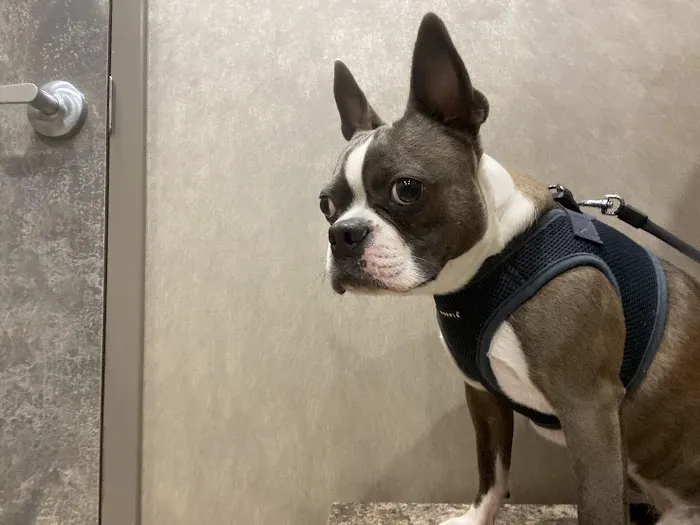 Fayetteville Animal Hospital Picture 6