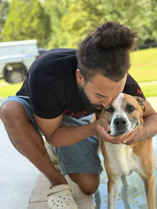 Fayetteville Animal Hospital Picture 5