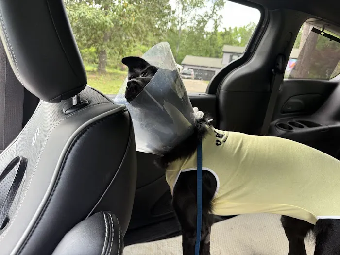 Fayetteville Animal Hospital Picture 9