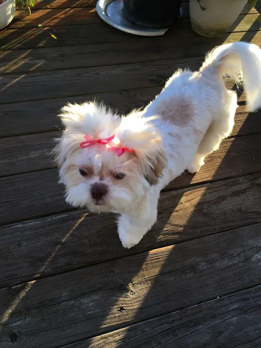 Fayetteville Animal Hospital Picture 8