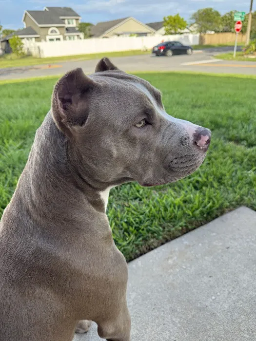 Fayetteville Animal Hospital Picture 10