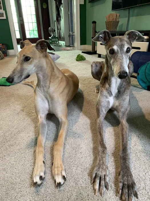 Fayette Veterinary Medical Center Picture 4