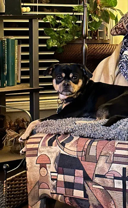 Fayette Veterinary Medical Center Picture 3