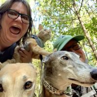 Fayette Veterinary Medical Center ico