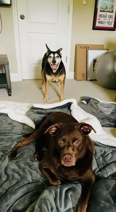 Fayette Veterinary Medical Center Picture 8