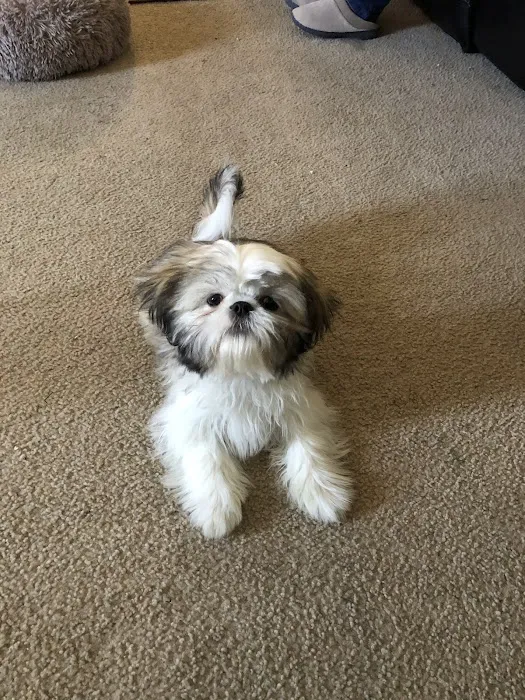 Fayette Veterinary Medical Center Picture 7