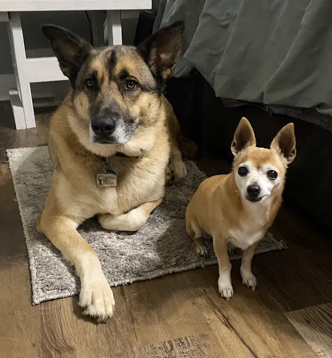 Fayette Veterinary Medical Center Picture 5