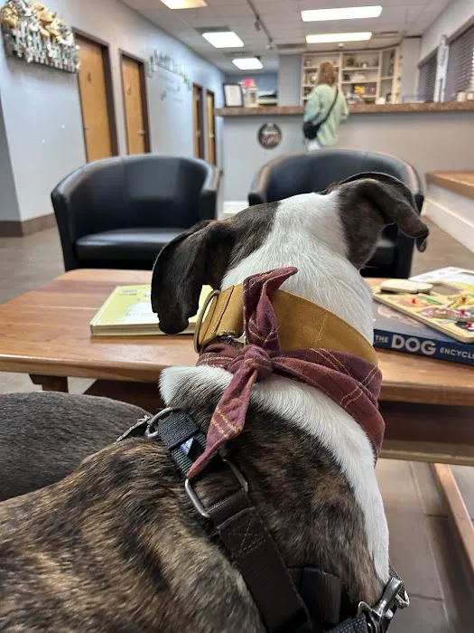 Fayette Veterinary Medical Center Picture 10