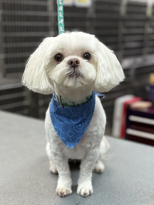 Fayette Veterinary Medical Center Picture 9