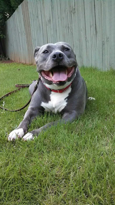 Memorial Drive Veterinary Clinic Picture 1