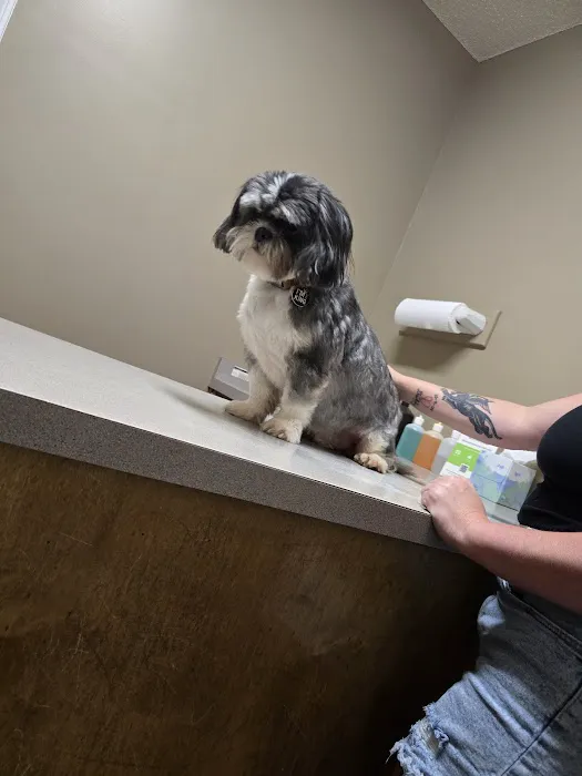 Memorial Drive Veterinary Clinic Picture 6