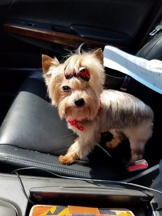 Memorial Drive Veterinary Clinic Picture 8