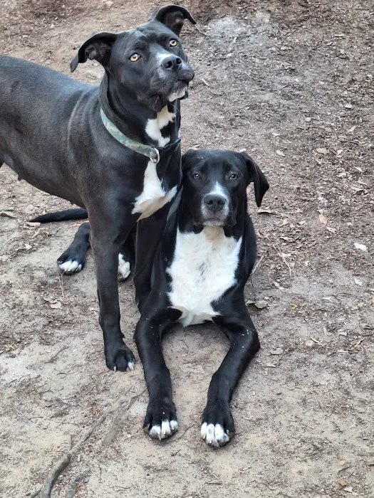 Memorial Drive Veterinary Clinic Picture 9