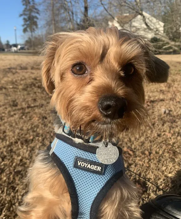 Memorial Drive Veterinary Clinic Picture 10