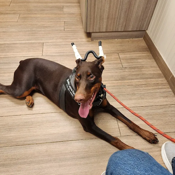 Southside Animal Hospital Picture 1