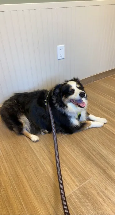 Southside Animal Hospital Picture 3