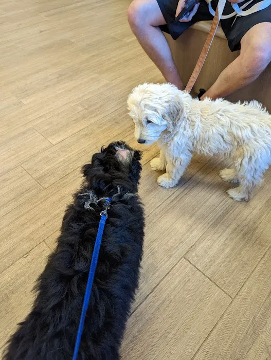 Southside Animal Hospital Picture 5