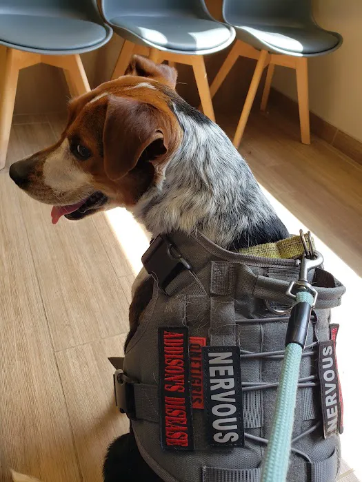 Southside Animal Hospital Picture 6