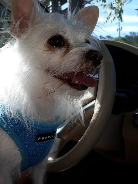 Southside Animal Hospital Picture 8