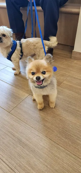 Southside Animal Hospital Picture 7