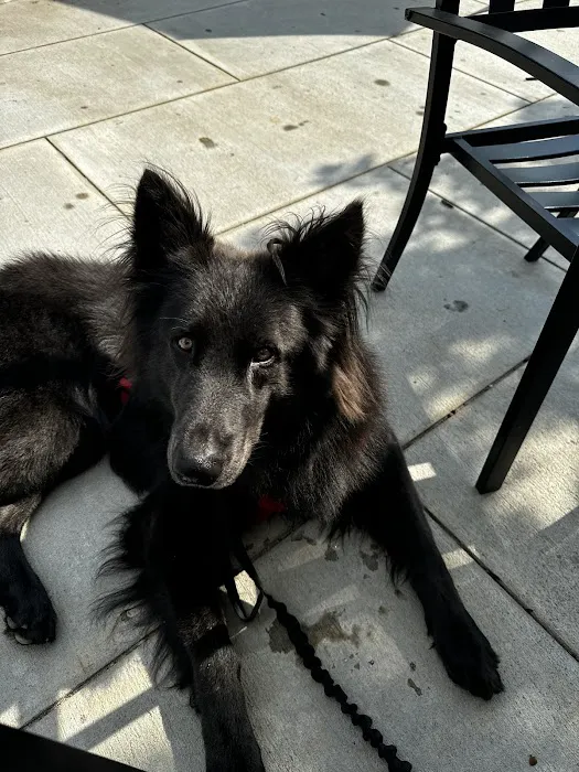 Griffin Animal Care Picture 1