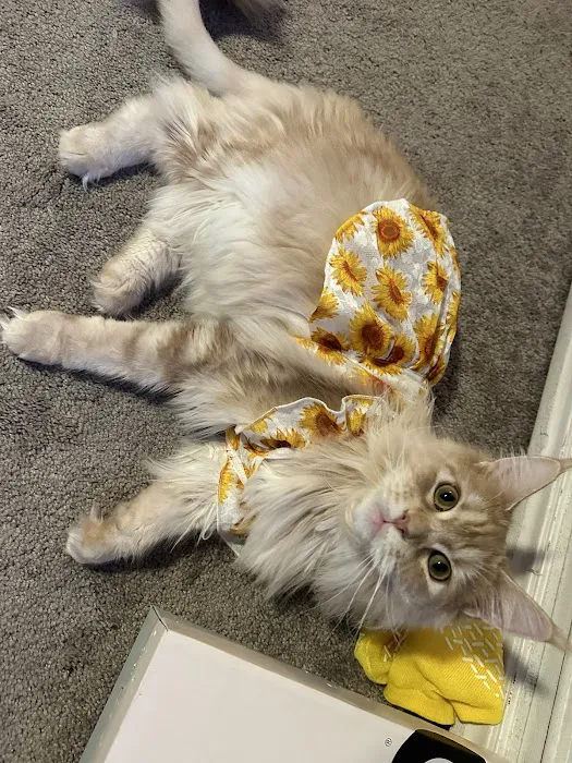 Griffin Animal Care Picture 3