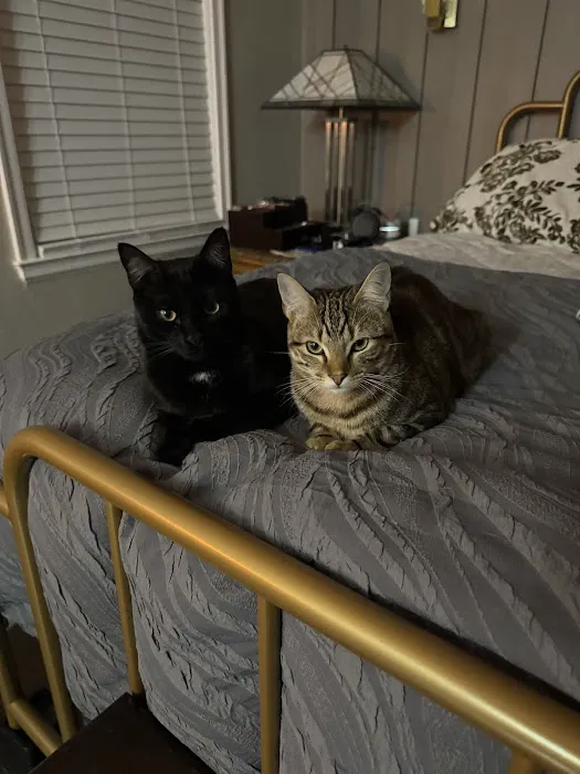 Griffin Animal Care Picture 6