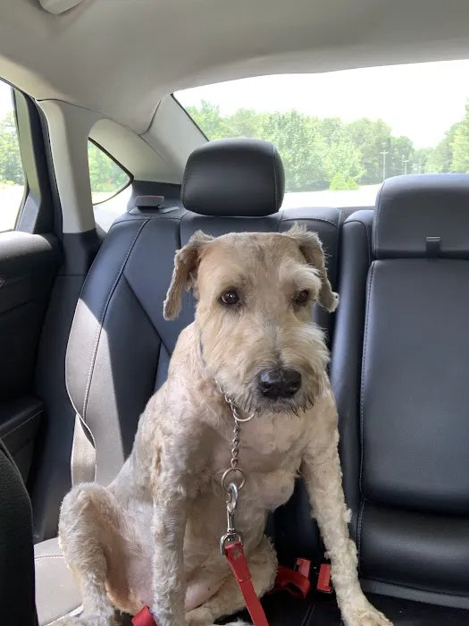 Griffin Animal Care Picture 8